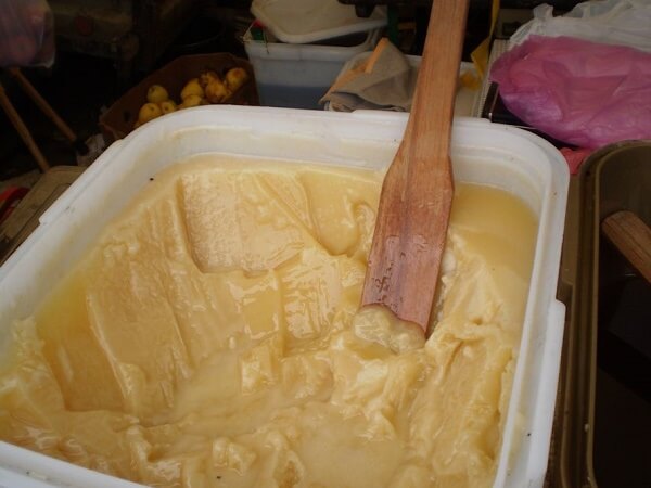 Донниковый мед в контейнере Донниковый сорт меда