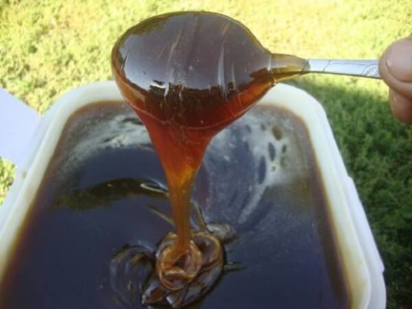 Как выглядит гречишный мед Гречишный мед - фото