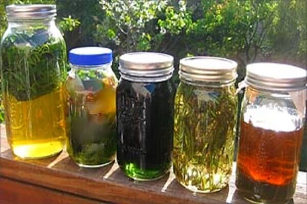 Спиртовые настойки - фото