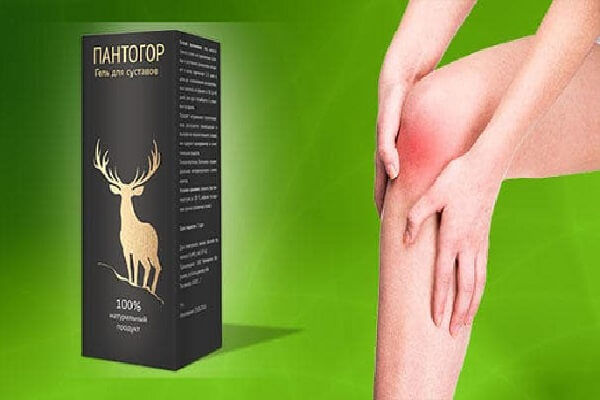 Пантогор - фото Пантогор для суставов