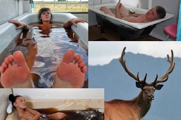 Пантовые ванны Пантовые ванны - фото