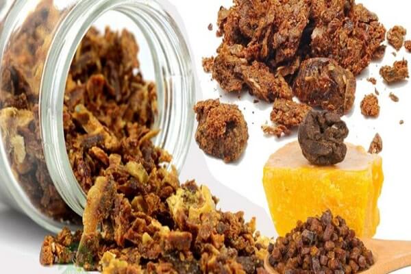 Прополис - фото