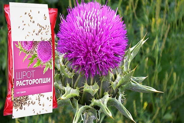 Шрот расторопши в пачке Шрот расторопши