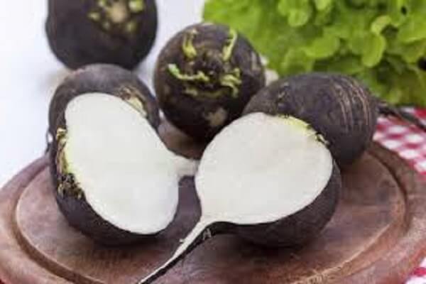 Черная редька в разрезе Редька от кашля - фото