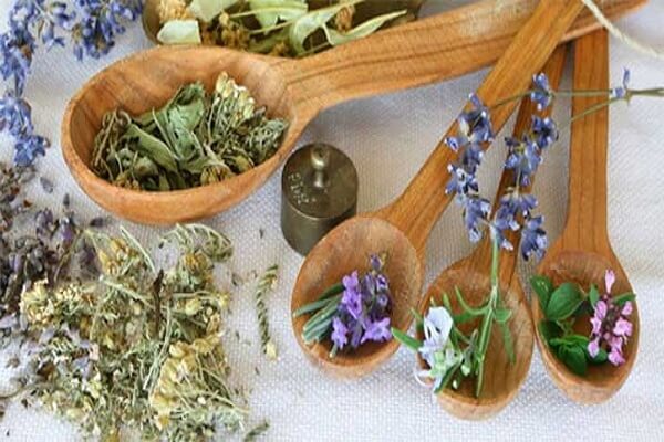 Успокаивающие травяные сборы Травяные сборы от бессонницы