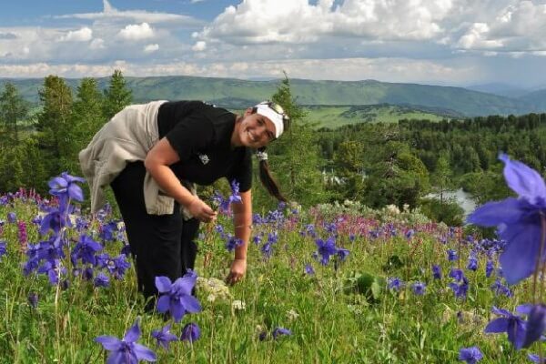 Девушка собирает лекарственные растения Сбор лекарственных трав