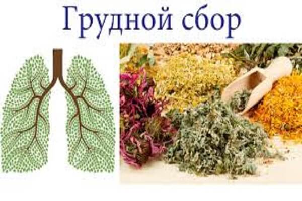 Грудной травяной сбор от кашля Сборы от кашля
