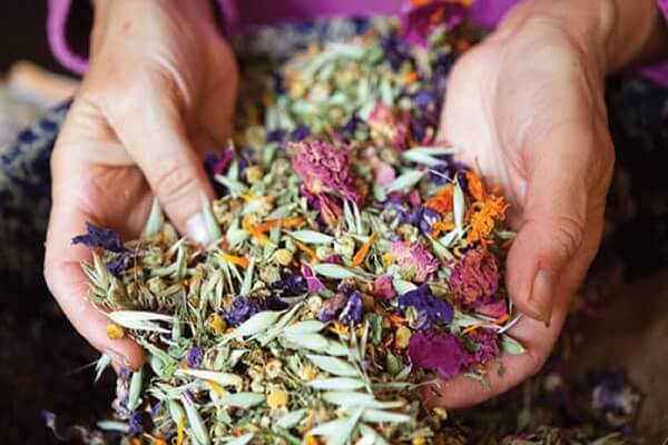 Желудочно - кишечный травяной сбор Как приготовить сборы ждя желудка