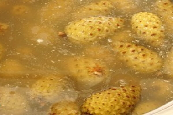 Вареные кедровые шишки в кастрюле Варка кедровых шишек