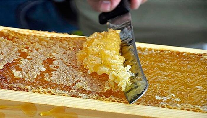 Как добывают забрус