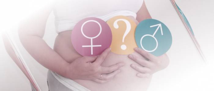 Что определяет пол ребенка - Что определяет пол ребенка?