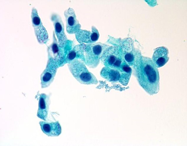 211117_10.jpg 211117_10.jpg