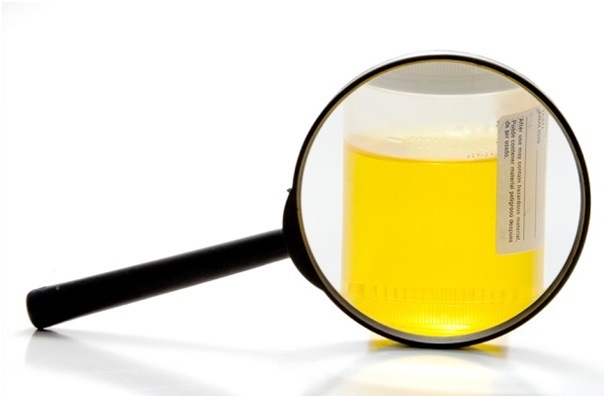 1002345643220001100cc.jpg 1002345643220001100cc.jpg