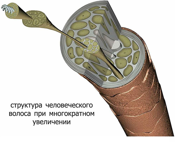 201117_12.jpg 201117_12.jpg