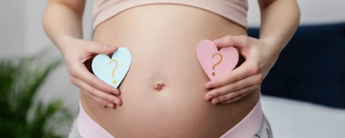 Пол ребенка и овуляция - Пол ребенка и овуляция