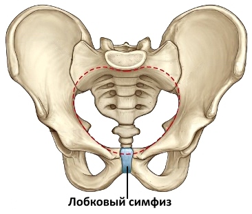 101117_image032.jpg 101117_image032.jpg