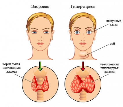 1235699.jpg 1235699.jpg