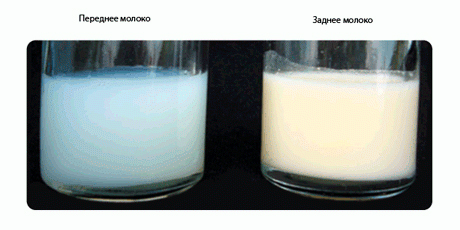 260118_92.jpg 260118_92.jpg