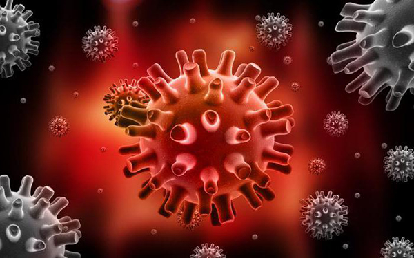 101117_image051.jpg 101117_image051.jpg