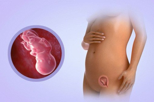 011217_2.jpg 011217_2.jpg