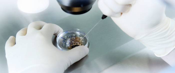 Методика и типы проведения ПГД - 