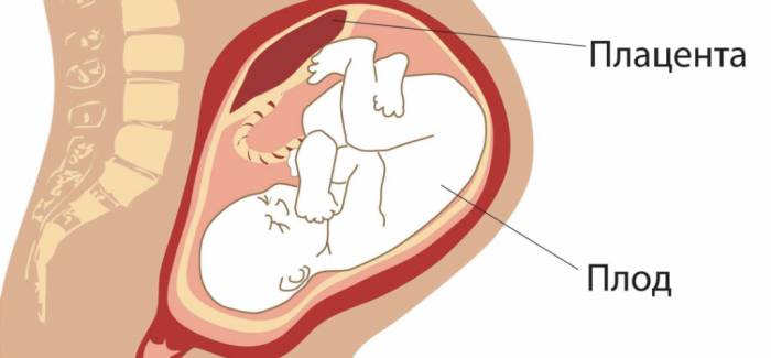 Основные причины низкой плаценты при беременности Основные причины низкой плаценты при беременности -