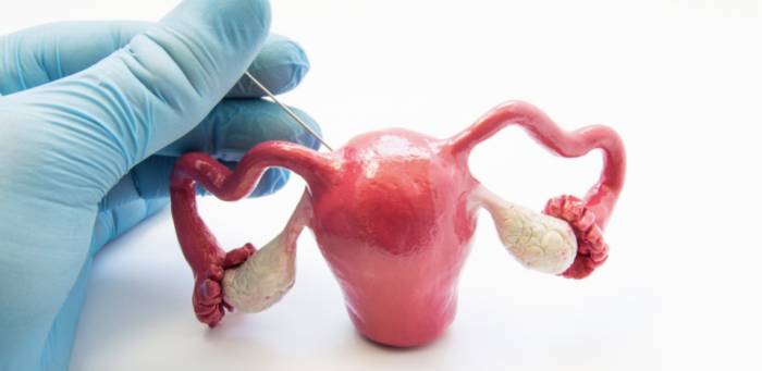 Преимущества и недостатки пайпель-биопсии эндометрия - Преимущества и недостатки пайпель-биопсии эндометрия