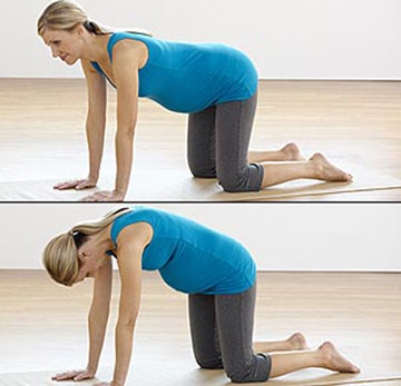 101117_image004.jpg 101117_image004.jpg