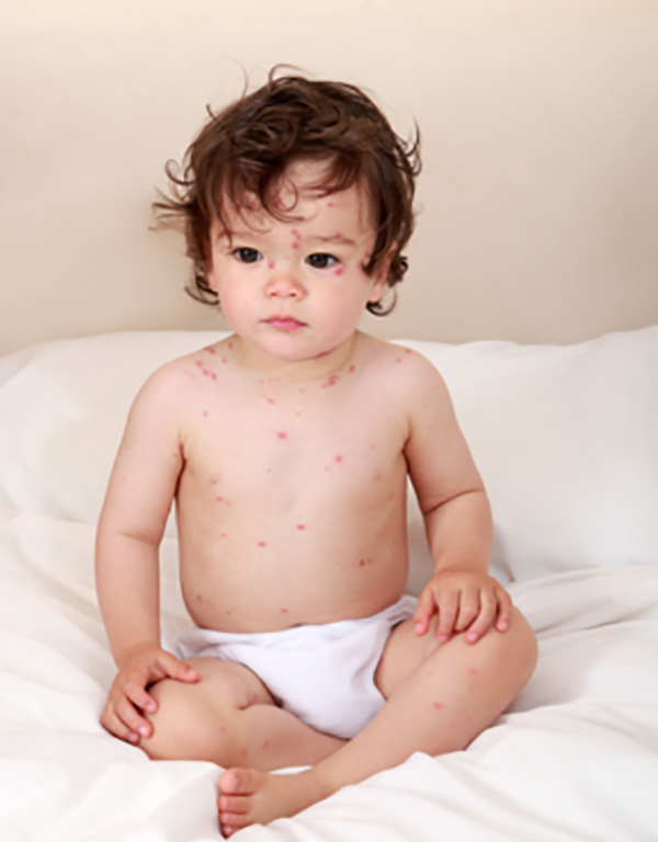 131117_78.jpg 131117_78.jpg