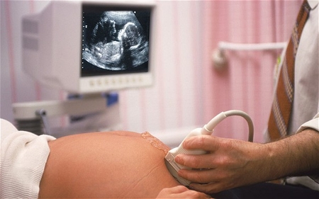 090118_31.jpg 090118_31.jpg