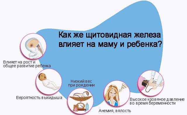 98756334.jpg 98756334.jpg