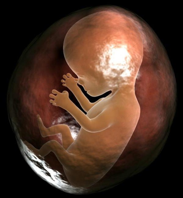 rebenok.jpg rebenok.jpg