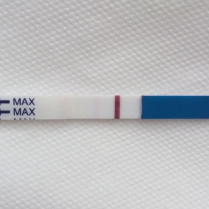 436217339.457489983.jpeg 436217339.457489983.jpeg