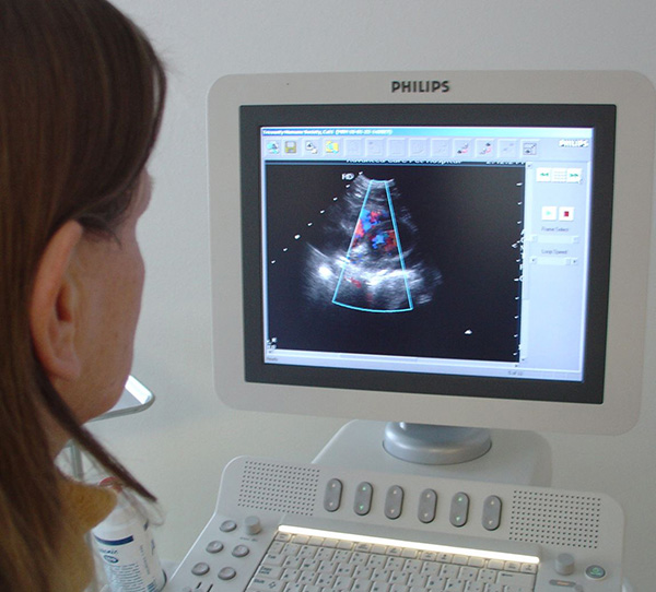 011217_40.jpg 011217_40.jpg