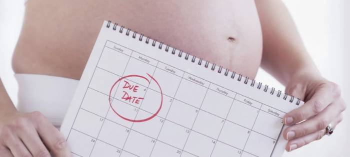 календарный расчёт беременности - календарный расчёт беременности