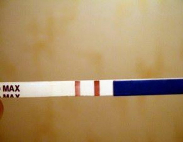 211117_5.jpg 211117_5.jpg