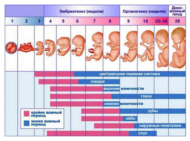 99875600897890.jpg 99875600897890.jpg