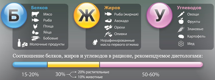 Сколько нужно жиров в рационе чтобы похудеть? sootnoshenie-belkov-girov-i-yglevodov.jpg